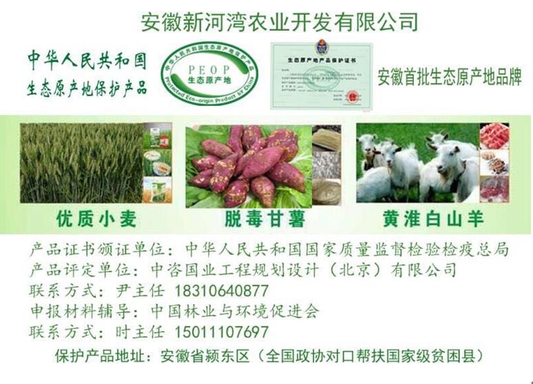 点击打开原图 \